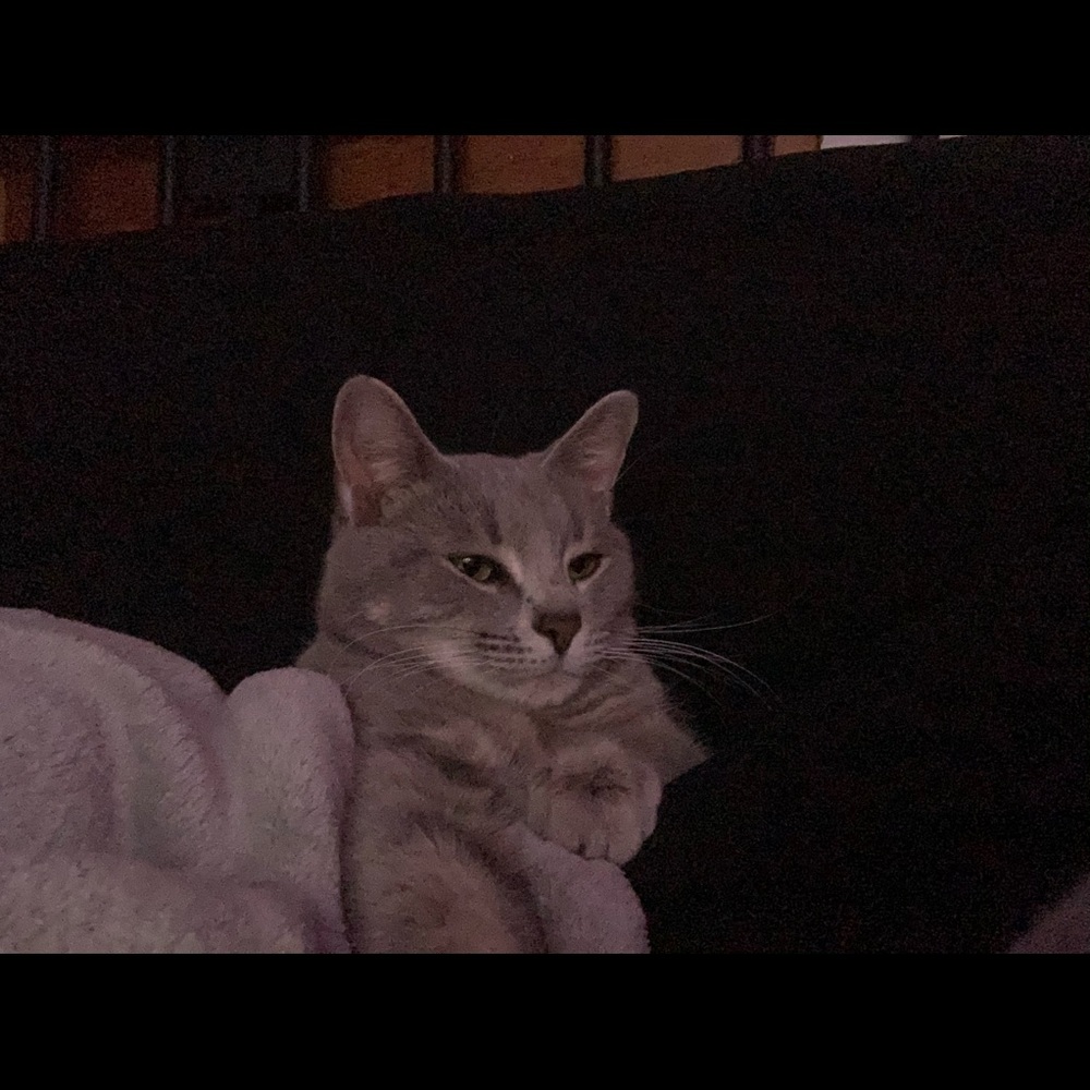 Meet your Posher, Sivanna